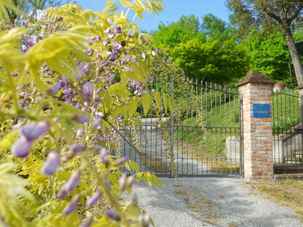 Tenuta Calabiana Diano dʼAlba 部屋 写真
