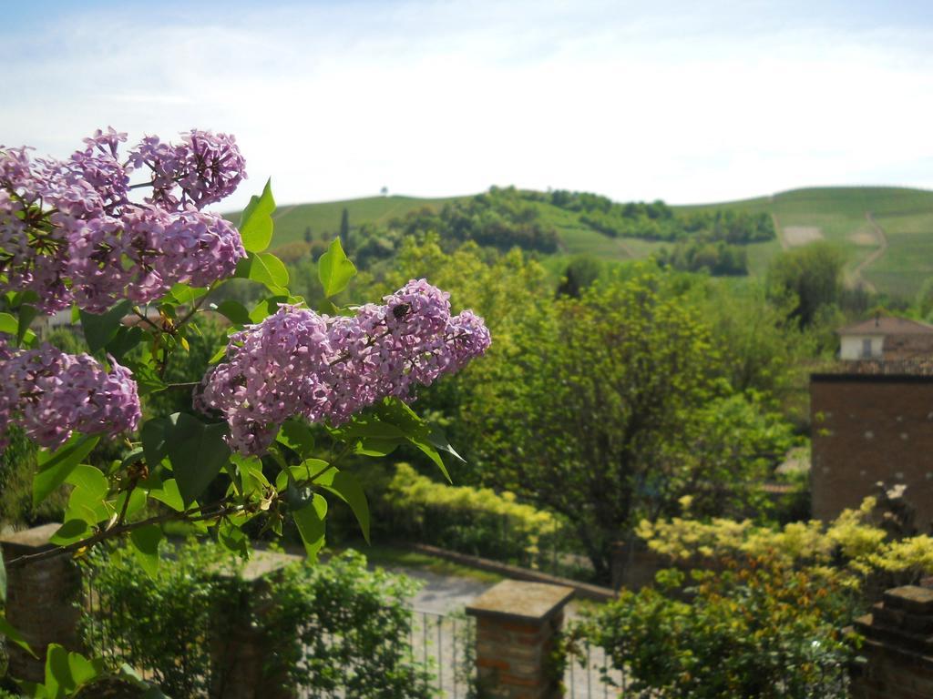 Tenuta Calabiana Diano dʼAlba 部屋 写真