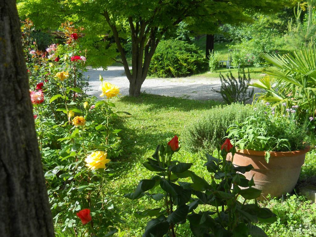 Tenuta Calabiana Diano dʼAlba 部屋 写真