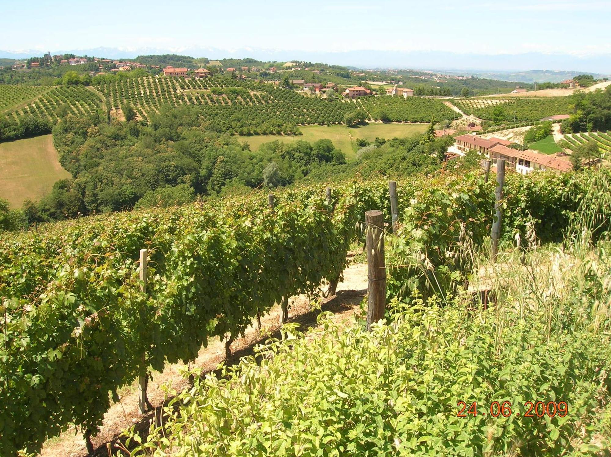 Tenuta Calabiana Diano dʼAlba エクステリア 写真