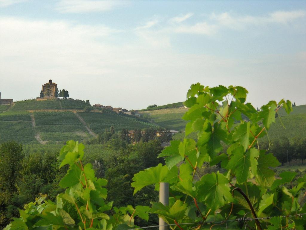 Tenuta Calabiana Diano dʼAlba 部屋 写真