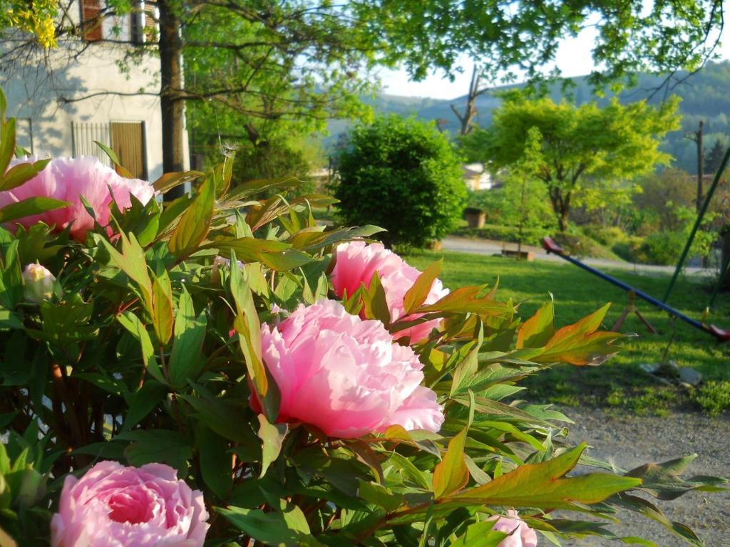 Tenuta Calabiana Diano dʼAlba 部屋 写真
